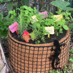 Herb Garden