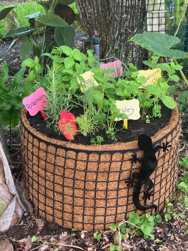 Herb Garden