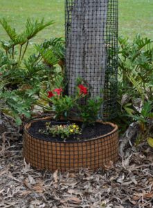 No Bott Pot filled with Soil and Flowers